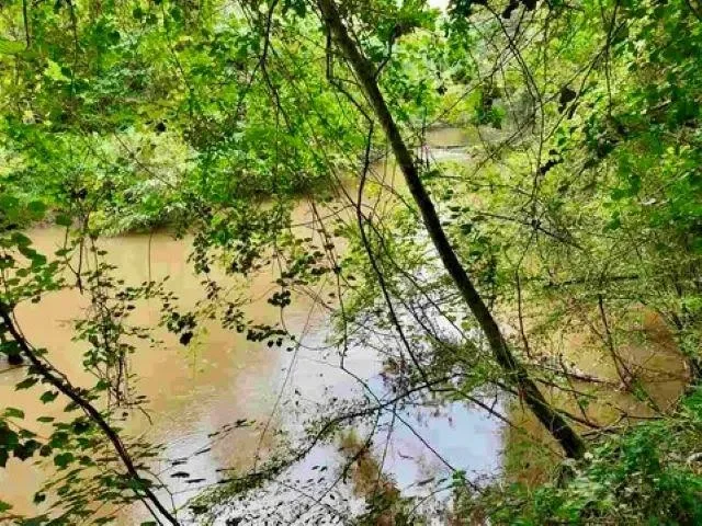 $1,500,000 | 26070 Blue Star Highway, Havana, FL 32333