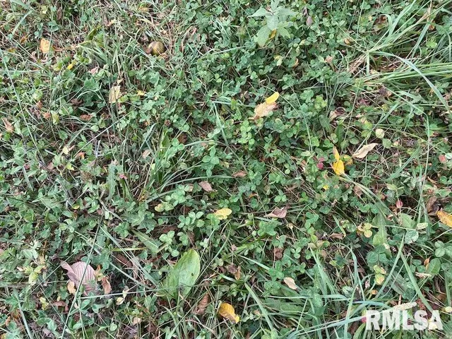 $548,000 | Xxx North 350th Street, Westfield, IL 62474