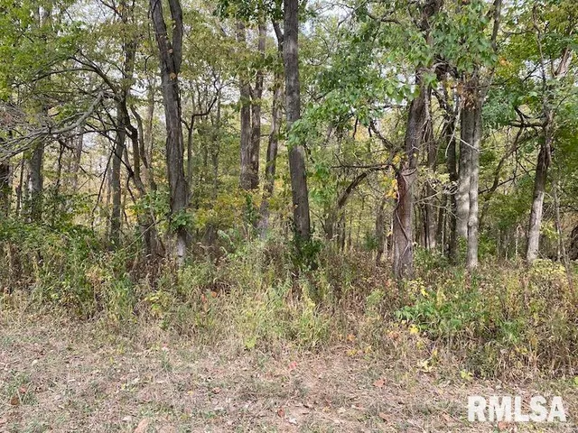 $548,000 | Xxx North 350th Street, Westfield, IL 62474