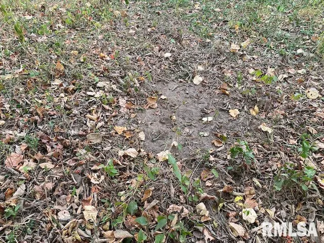 $548,000 | Xxx North 350th Street, Westfield, IL 62474