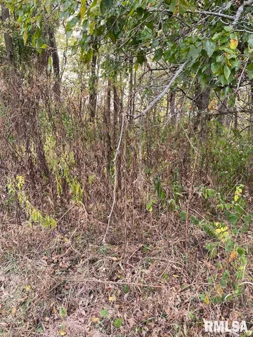 $548,000 | Xxx North 350th Street, Westfield, IL 62474