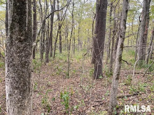 $548,000 | Xxx North 350th Street, Westfield, IL 62474