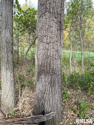 $548,000 | Xxx North 350th Street, Westfield, IL 62474