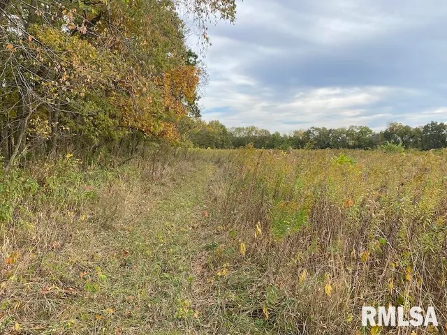 $548,000 | Xxx North 350th Street, Westfield, IL 62474