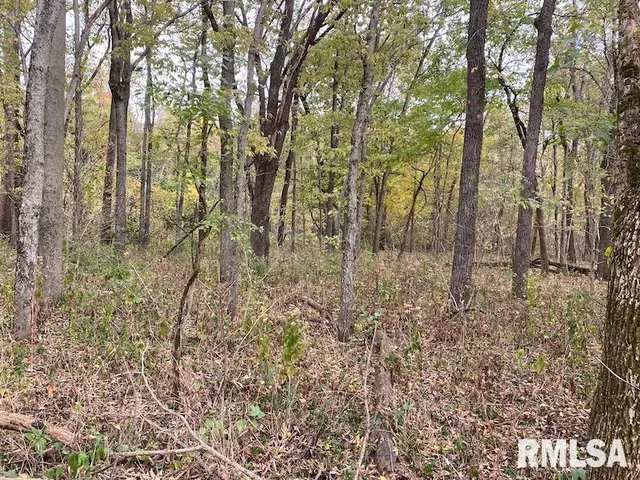 $548,000 | Xxx North 350th Street, Westfield, IL 62474