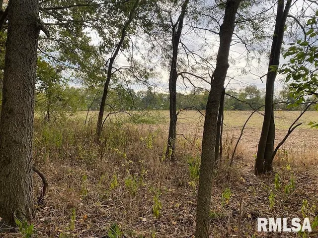 $548,000 | Xxx North 350th Street, Westfield, IL 62474