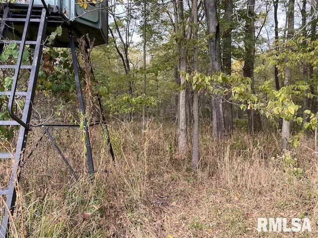 $548,000 | Xxx North 350th Street, Westfield, IL 62474