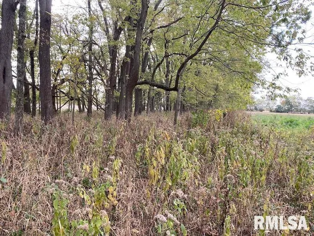 $548,000 | Xxx North 350th Street, Westfield, IL 62474