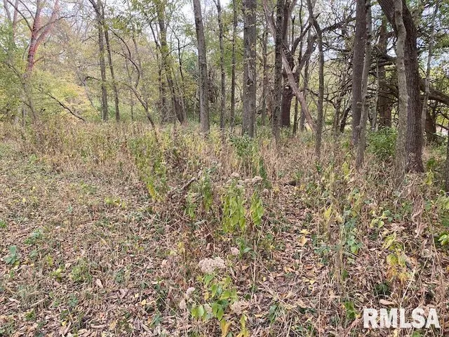 $548,000 | Xxx North 350th Street, Westfield, IL 62474