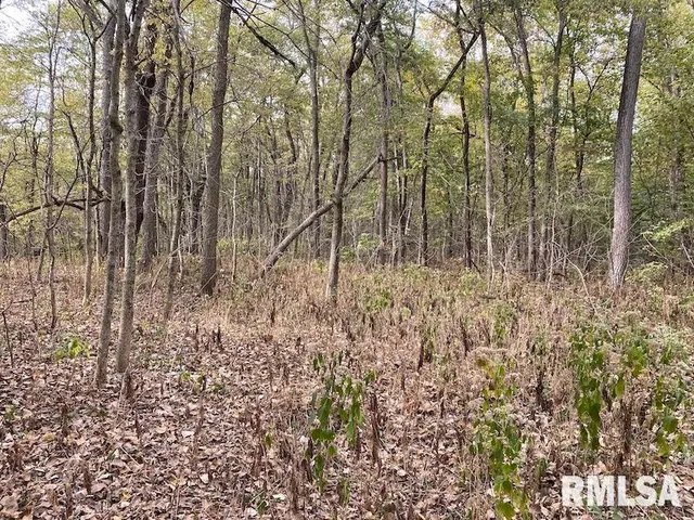 $548,000 | Xxx North 350th Street, Westfield, IL 62474