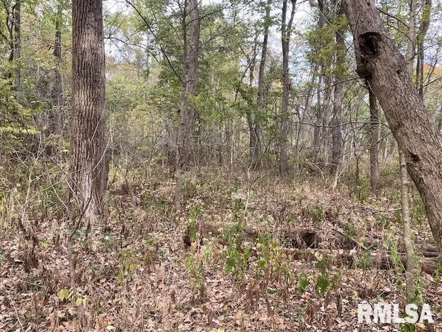 $548,000 | Xxx North 350th Street, Westfield, IL 62474