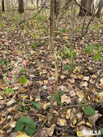 $548,000 | Xxx North 350th Street, Westfield, IL 62474