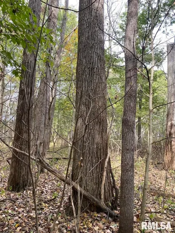 $548,000 | Xxx North 350th Street, Westfield, IL 62474