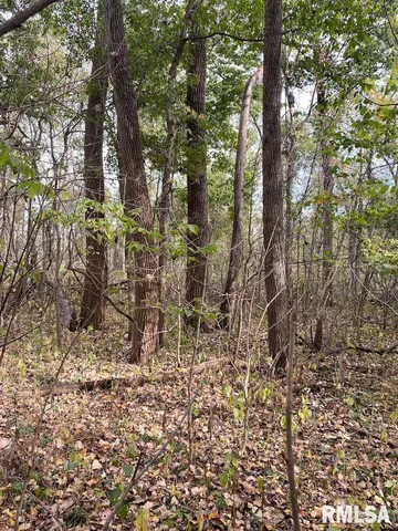 $548,000 | Xxx North 350th Street, Westfield, IL 62474