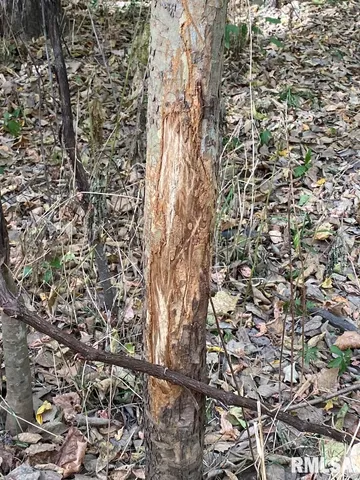 $548,000 | Xxx North 350th Street, Westfield, IL 62474