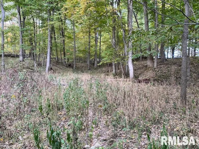 $548,000 | Xxx North 350th Street, Westfield, IL 62474