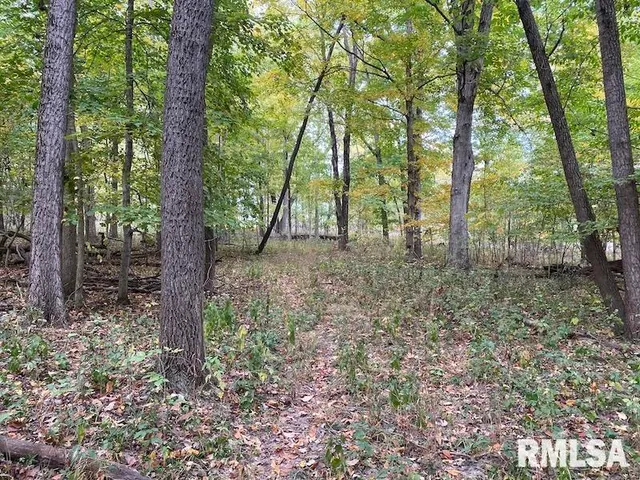 $548,000 | Xxx North 350th Street, Westfield, IL 62474