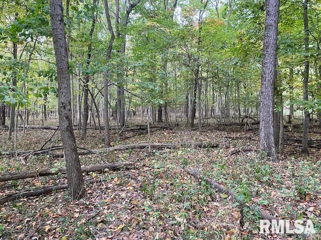 $548,000 | Xxx North 350th Street, Westfield, IL 62474