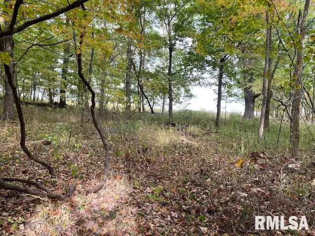 $548,000 | Xxx North 350th Street, Westfield, IL 62474