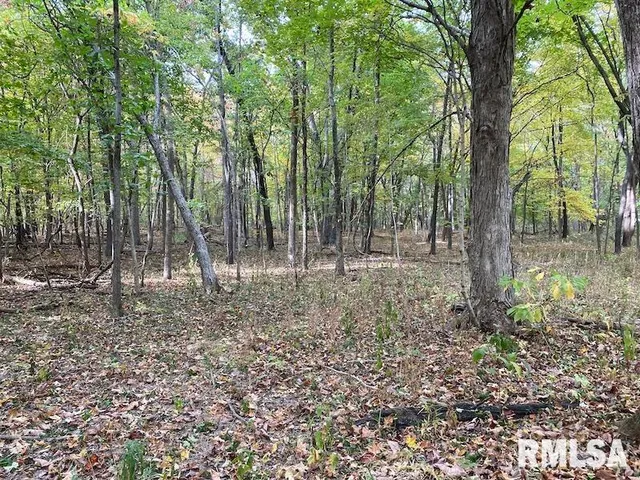 $548,000 | Xxx North 350th Street, Westfield, IL 62474