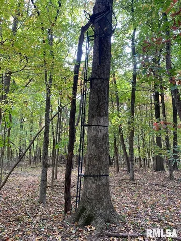 $548,000 | Xxx North 350th Street, Westfield, IL 62474