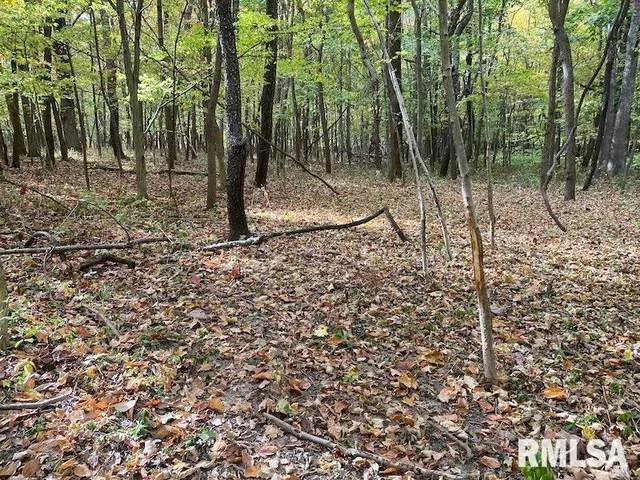 $548,000 | Xxx North 350th Street, Westfield, IL 62474