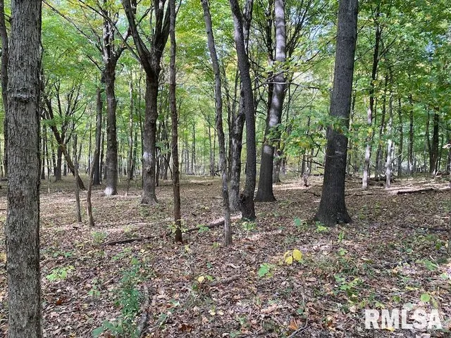 $548,000 | Xxx North 350th Street, Westfield, IL 62474