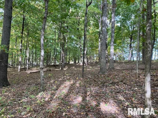 $548,000 | Xxx North 350th Street, Westfield, IL 62474