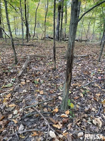 $548,000 | Xxx North 350th Street, Westfield, IL 62474