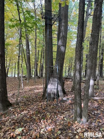 $548,000 | Xxx North 350th Street, Westfield, IL 62474