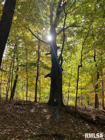 $548,000 | Xxx North 350th Street, Westfield, IL 62474