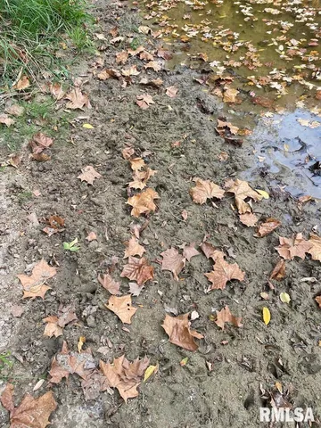 $548,000 | Xxx North 350th Street, Westfield, IL 62474