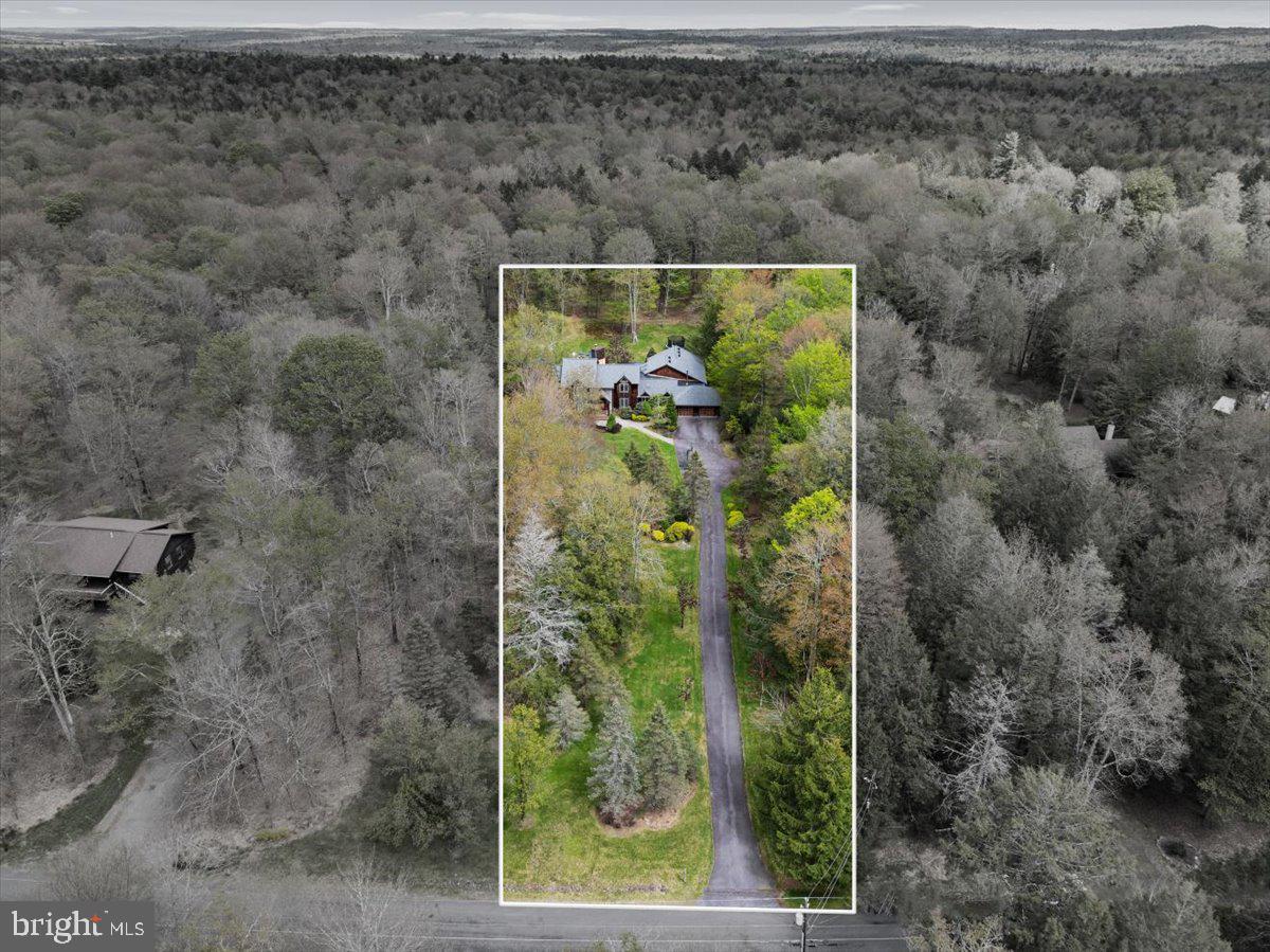 187 Saw Mill Road Pocono Lake, PA 18347 - Photo 85 of 85
