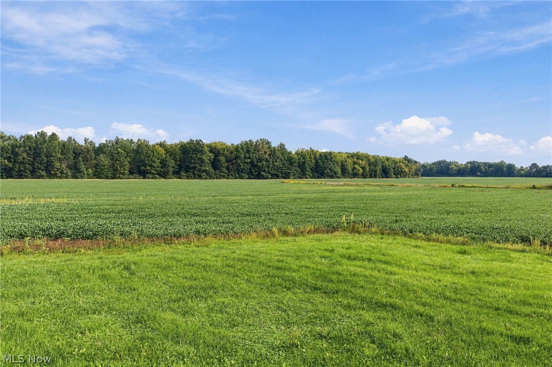 42764 Russia Road Elyria, OH 44035 - Photo 43 of 50 Expansive green field with a distant tree line under a blue sky