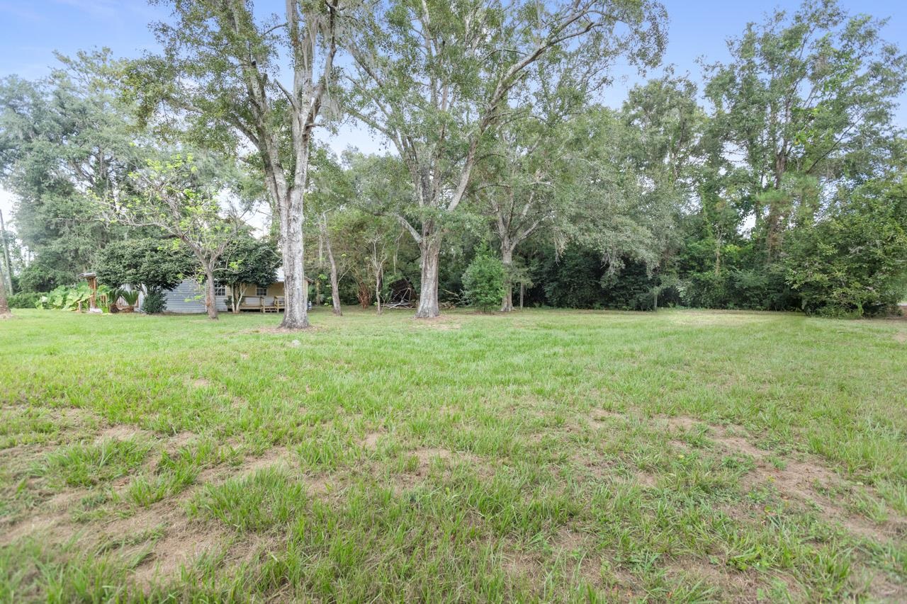 12447 Gamble Road Monticello, FL 32344 - Photo 11 of 54
