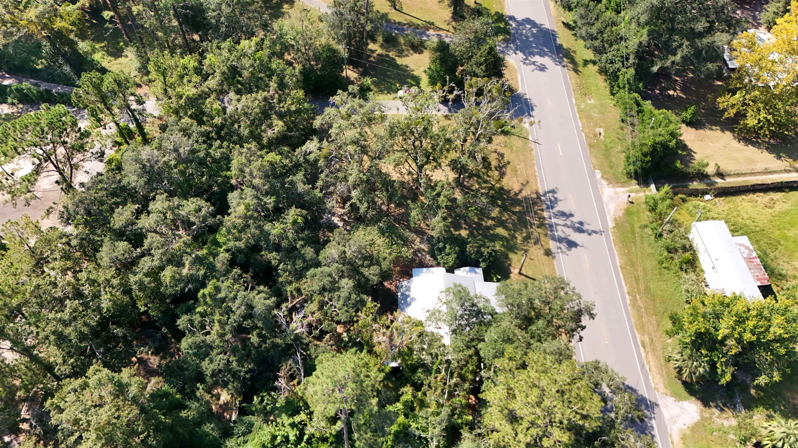 12447 Gamble Road Monticello, FL 32344 - Photo 3 of 54