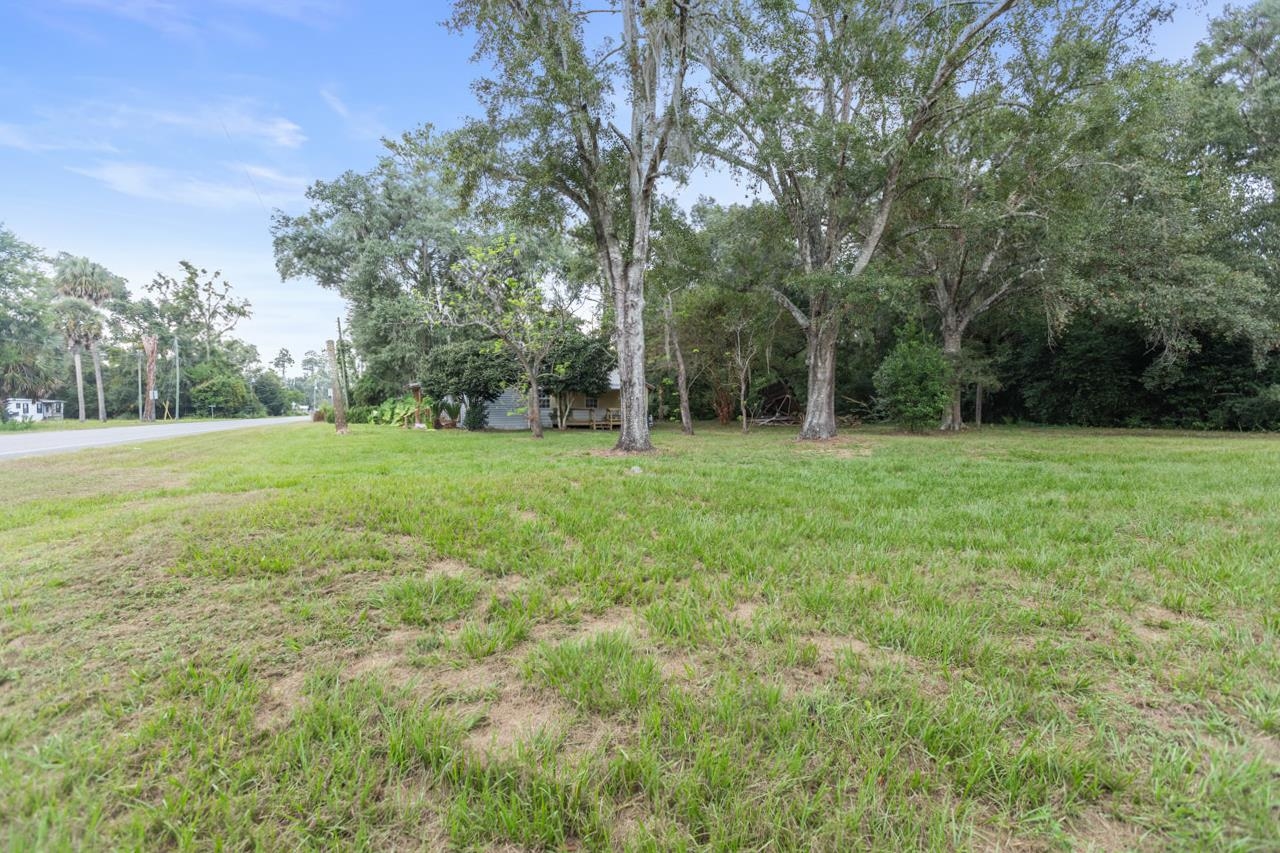 12447 Gamble Road Monticello, FL 32344 - Photo 10 of 54