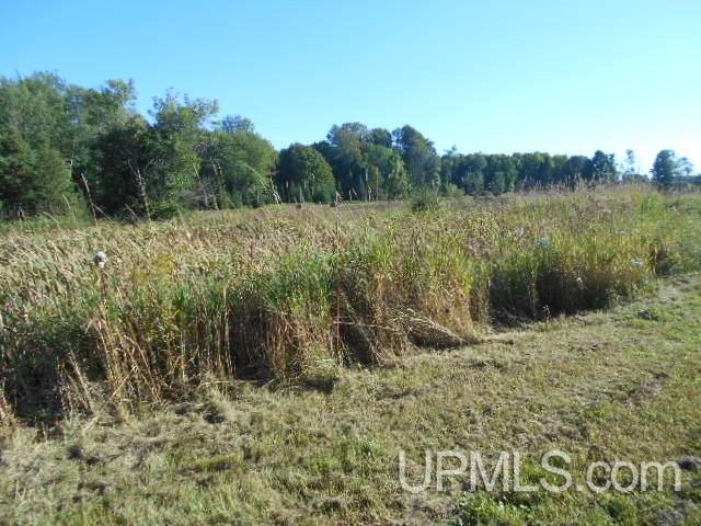Tbd Miller Road Florence, WI 54121 - Photo 17 of 24