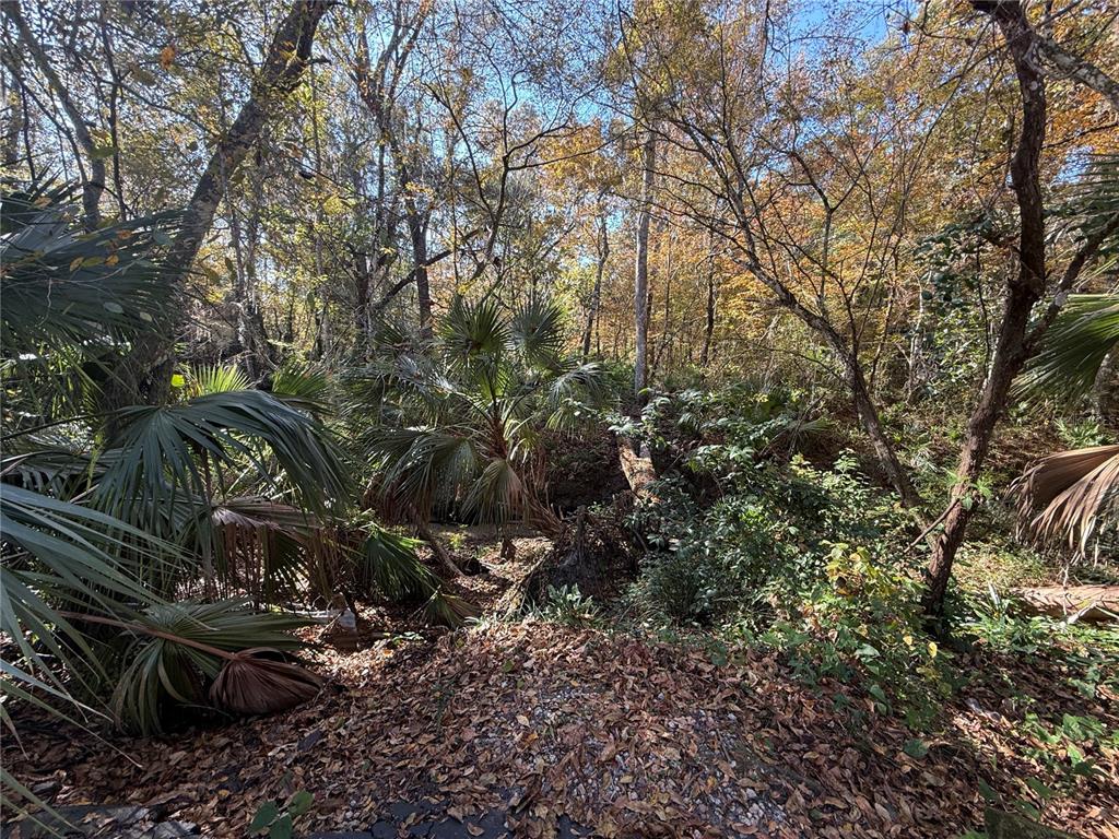 1515 Northwest 29 Road, Unit D2 Gainesville, FL 32605 - Photo 3 of 23