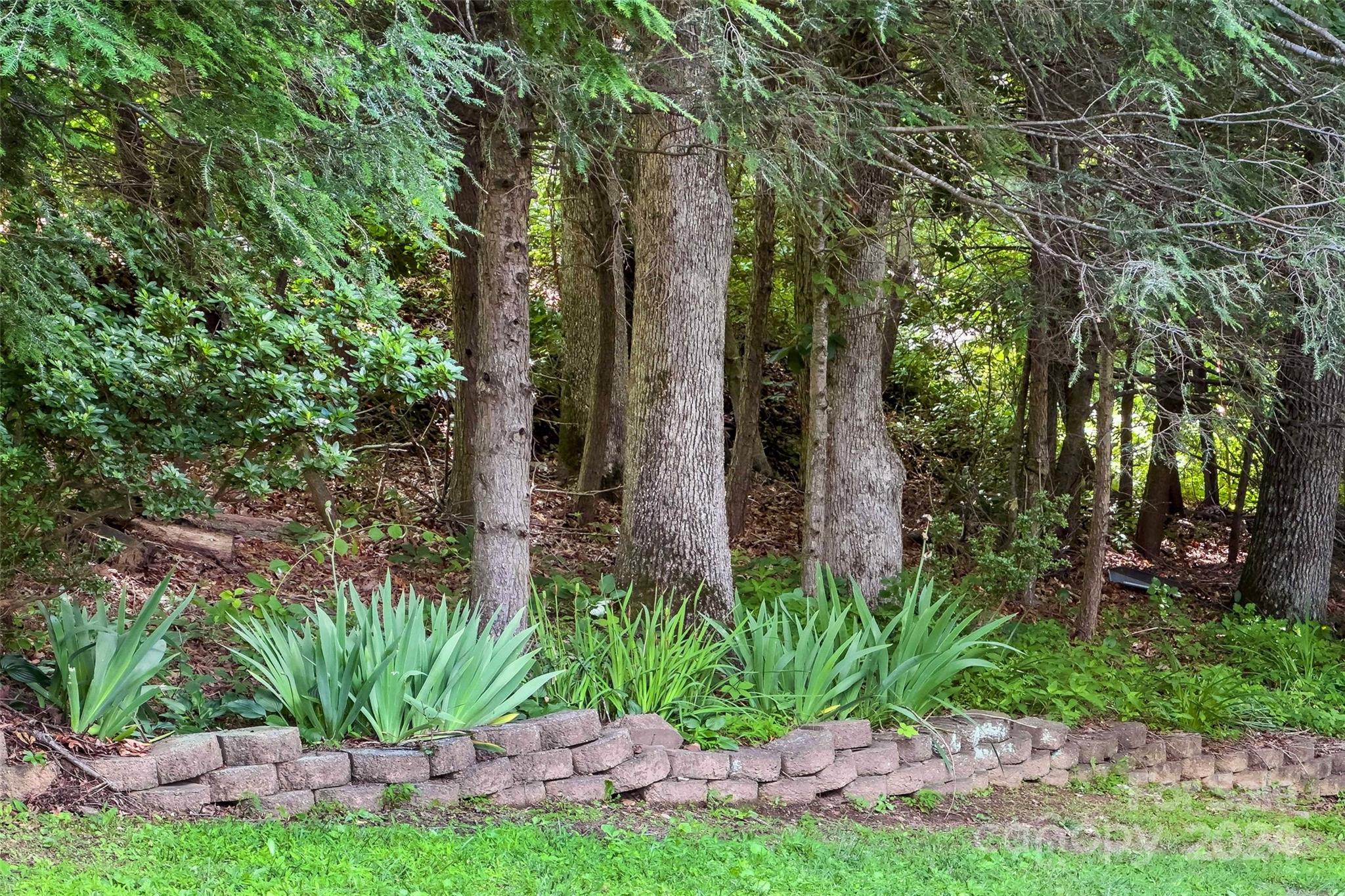 560 Carters Ridge Road Spruce Pine, NC 28777 - Photo 45 of 47 Gallery Image 45
