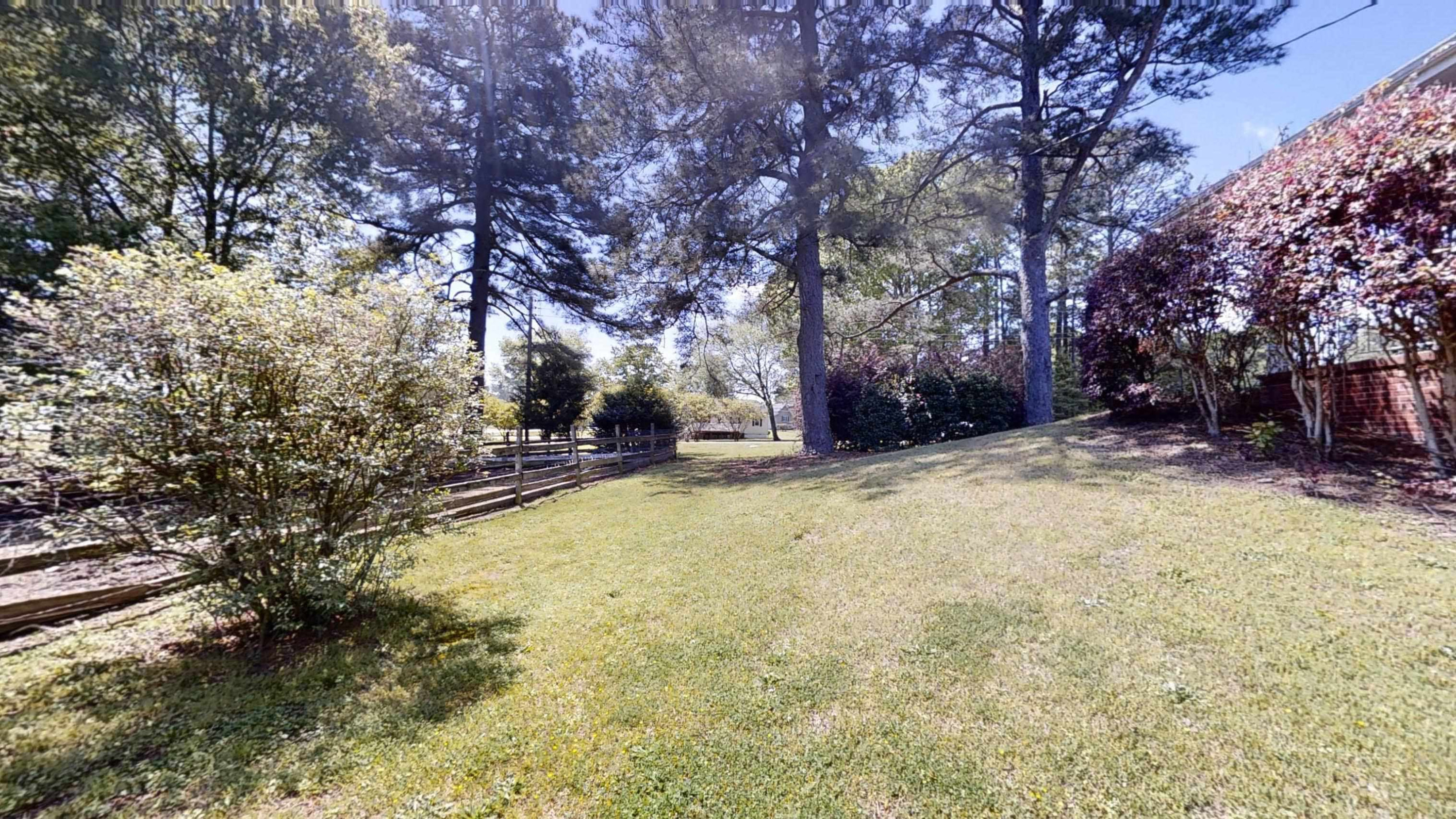 1115 Perry Road Zebulon, NC 27597 - Photo 33 of 37 a view of a yard with a tree