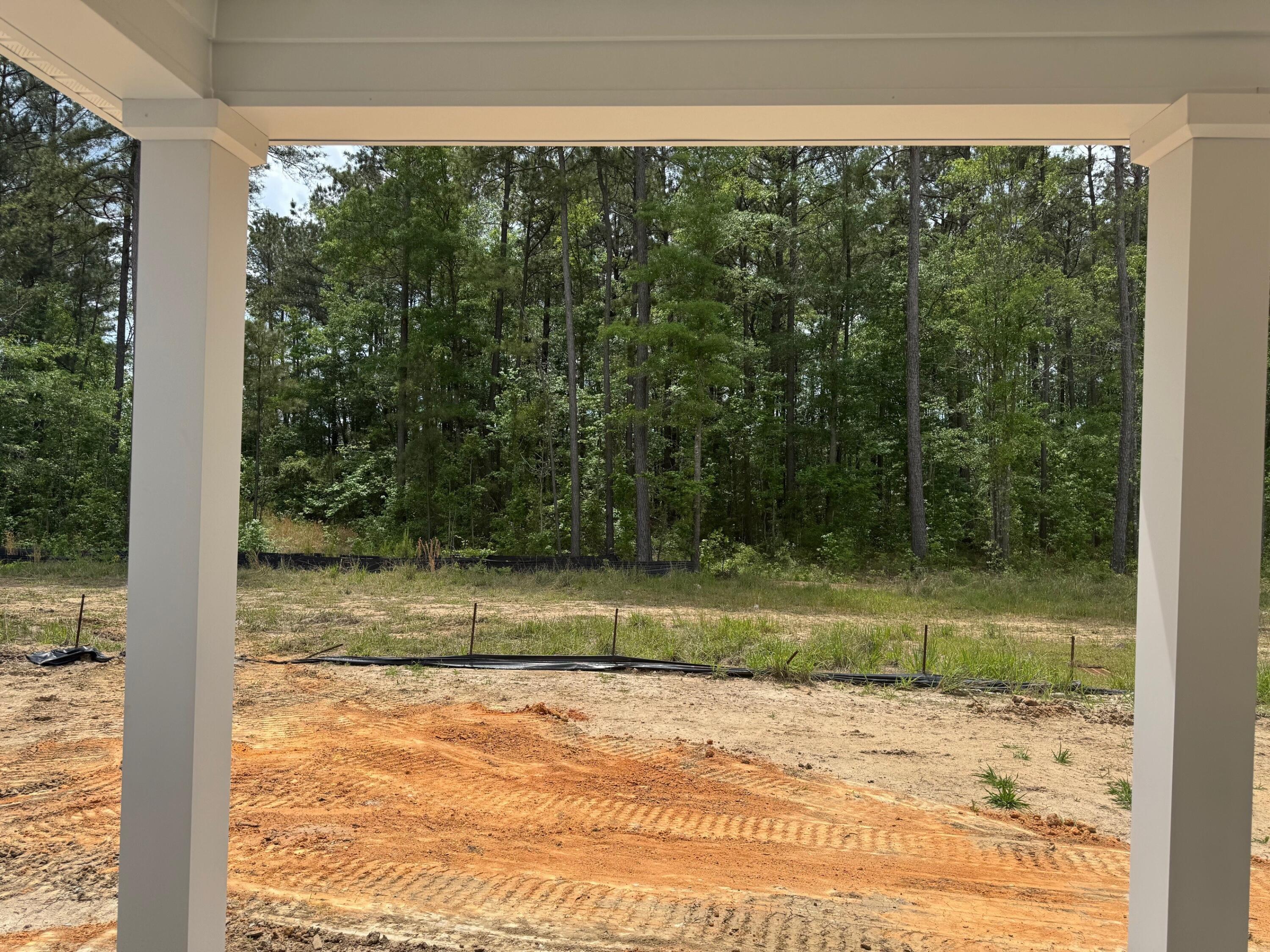 575 Red Monarch Way Moncks Corner, SC 29461 - Photo 11 of 19 backyard2