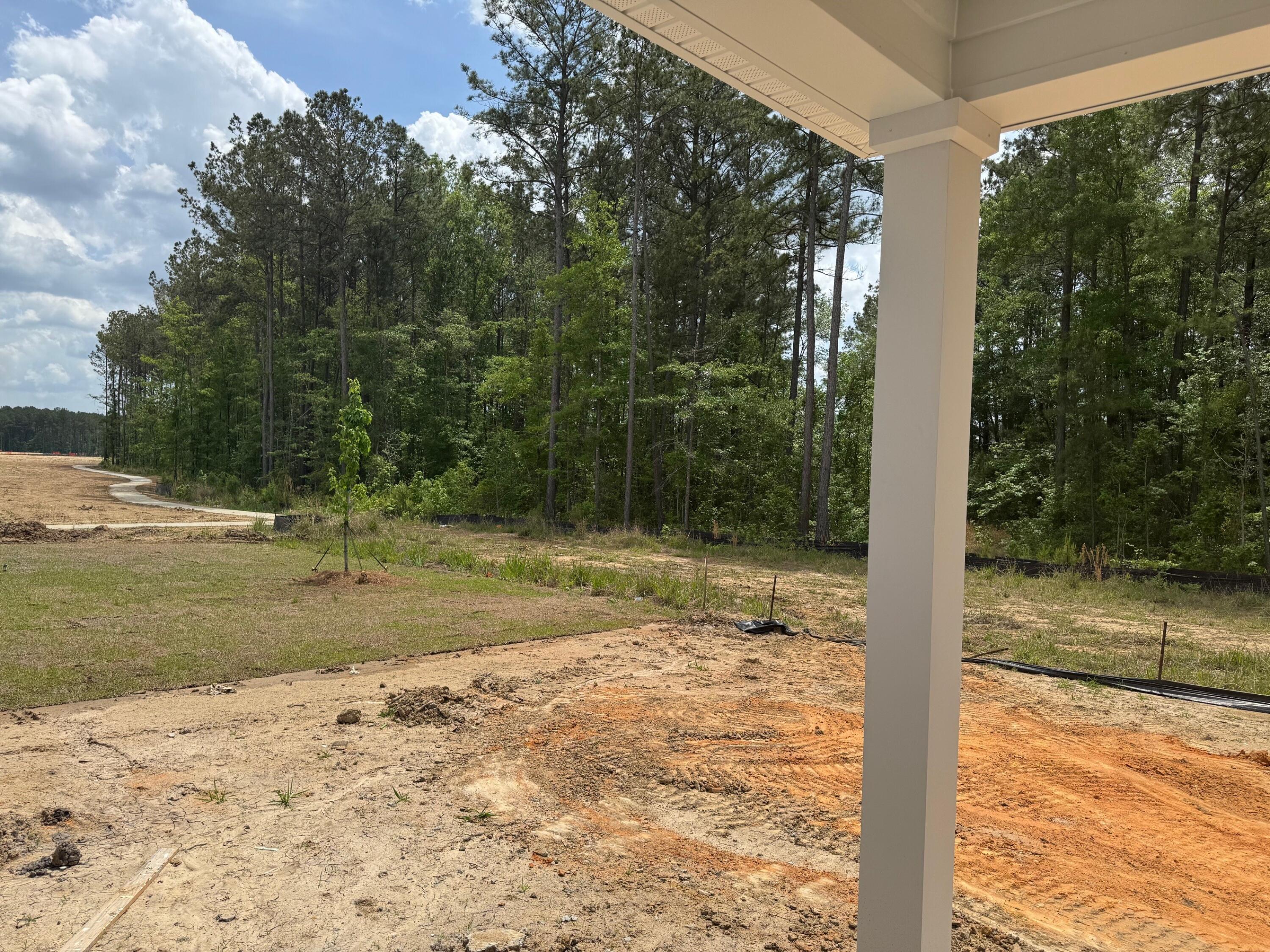 575 Red Monarch Way Moncks Corner, SC 29461 - Photo 12 of 19 backyard3