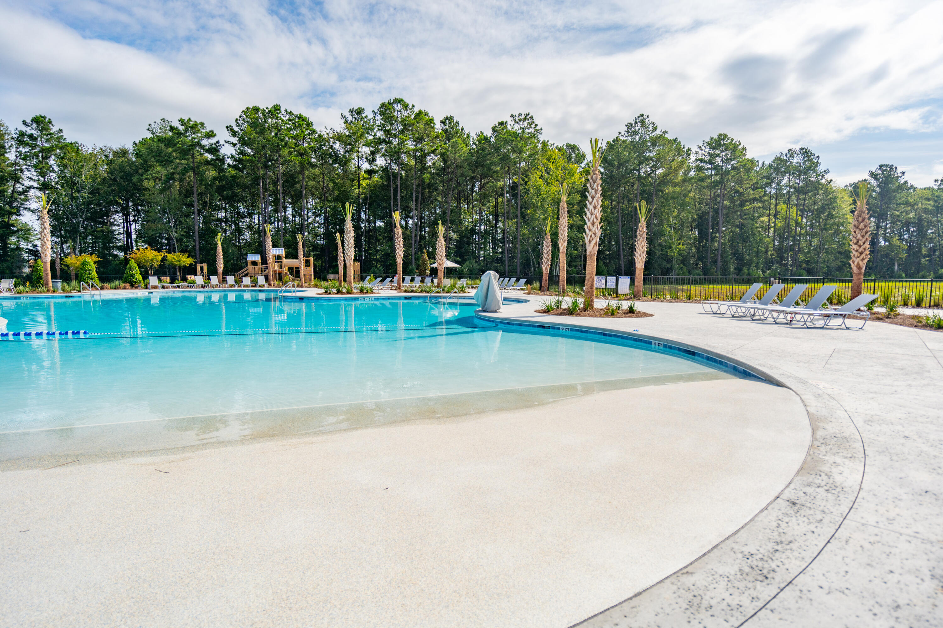 575 Red Monarch Way Moncks Corner, SC 29461 - Photo 18 of 19 pool3