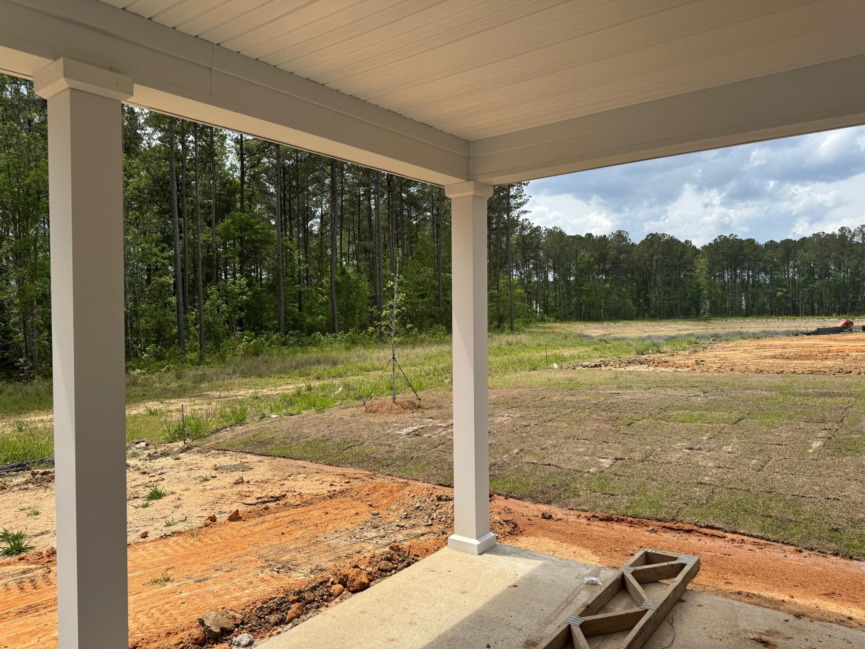 575 Red Monarch Way Moncks Corner, SC 29461 - Photo 10 of 19 backyard1