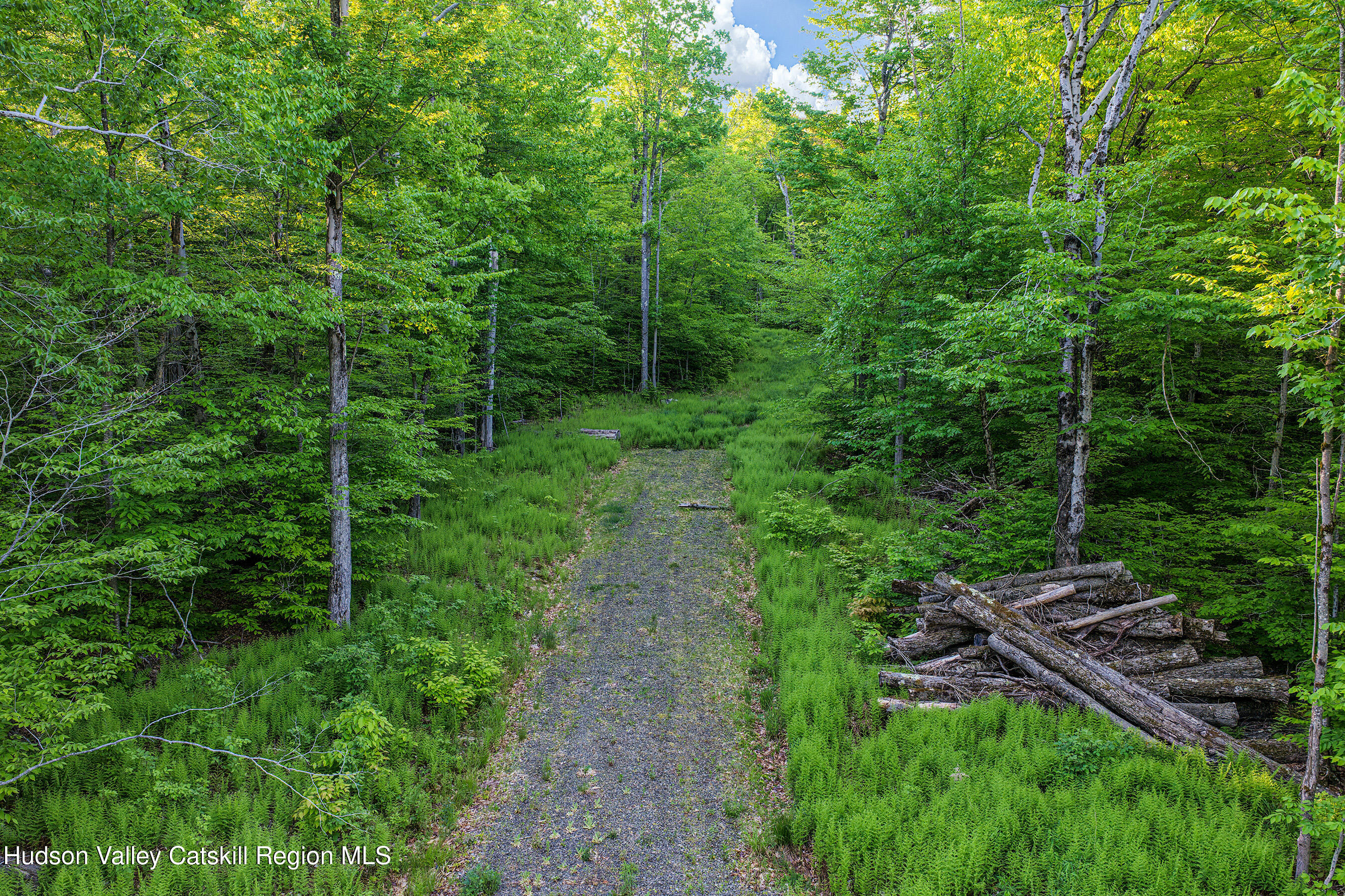 0 Frank Slawson Road Oneonta, NY 13820 - Photo 6 of 29 DJI_20260603070619_0495_D-Edit-Edit