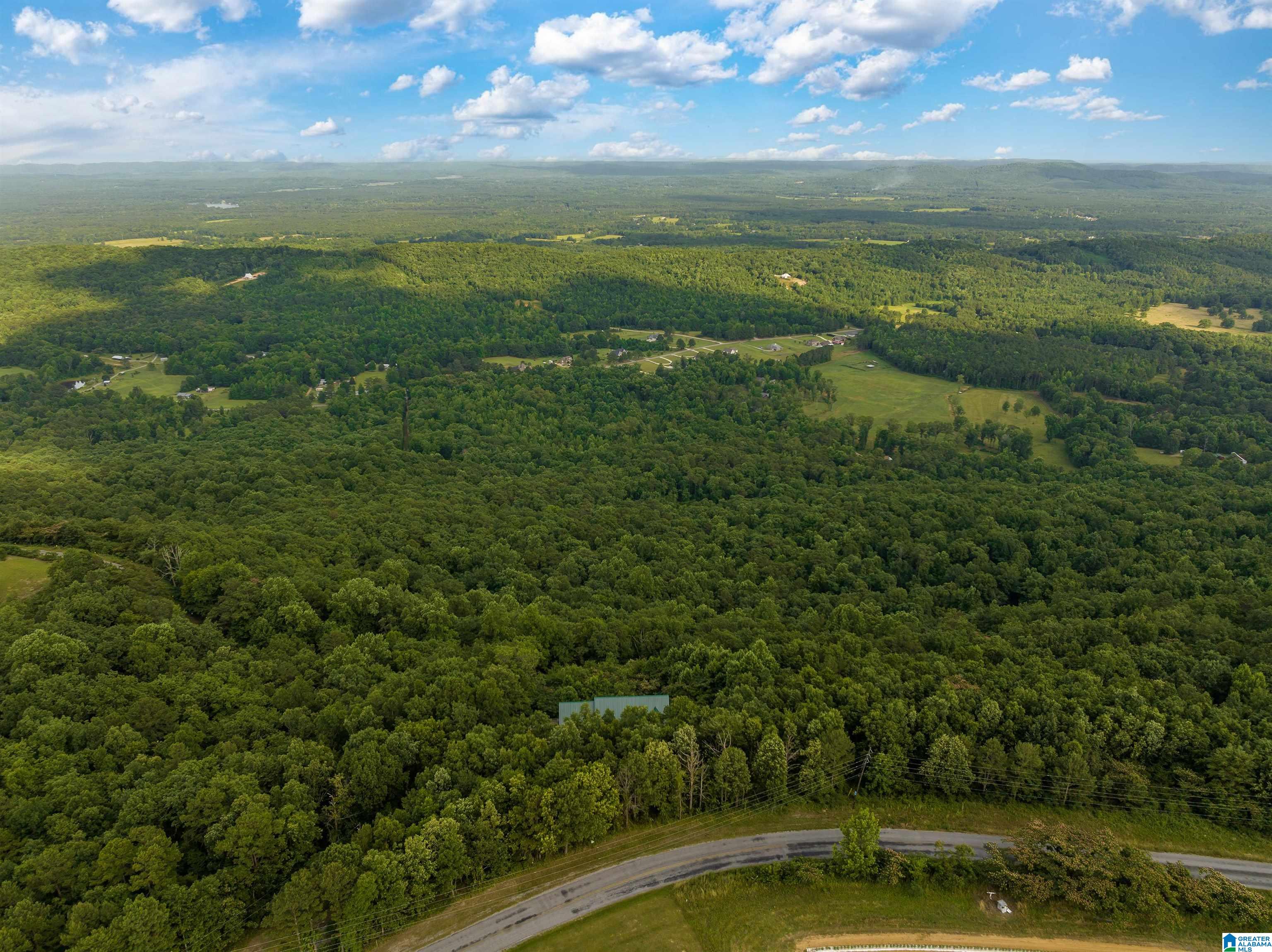 5924 Co Highway 24 Springville, AL 35146 - Photo 38 of 50
