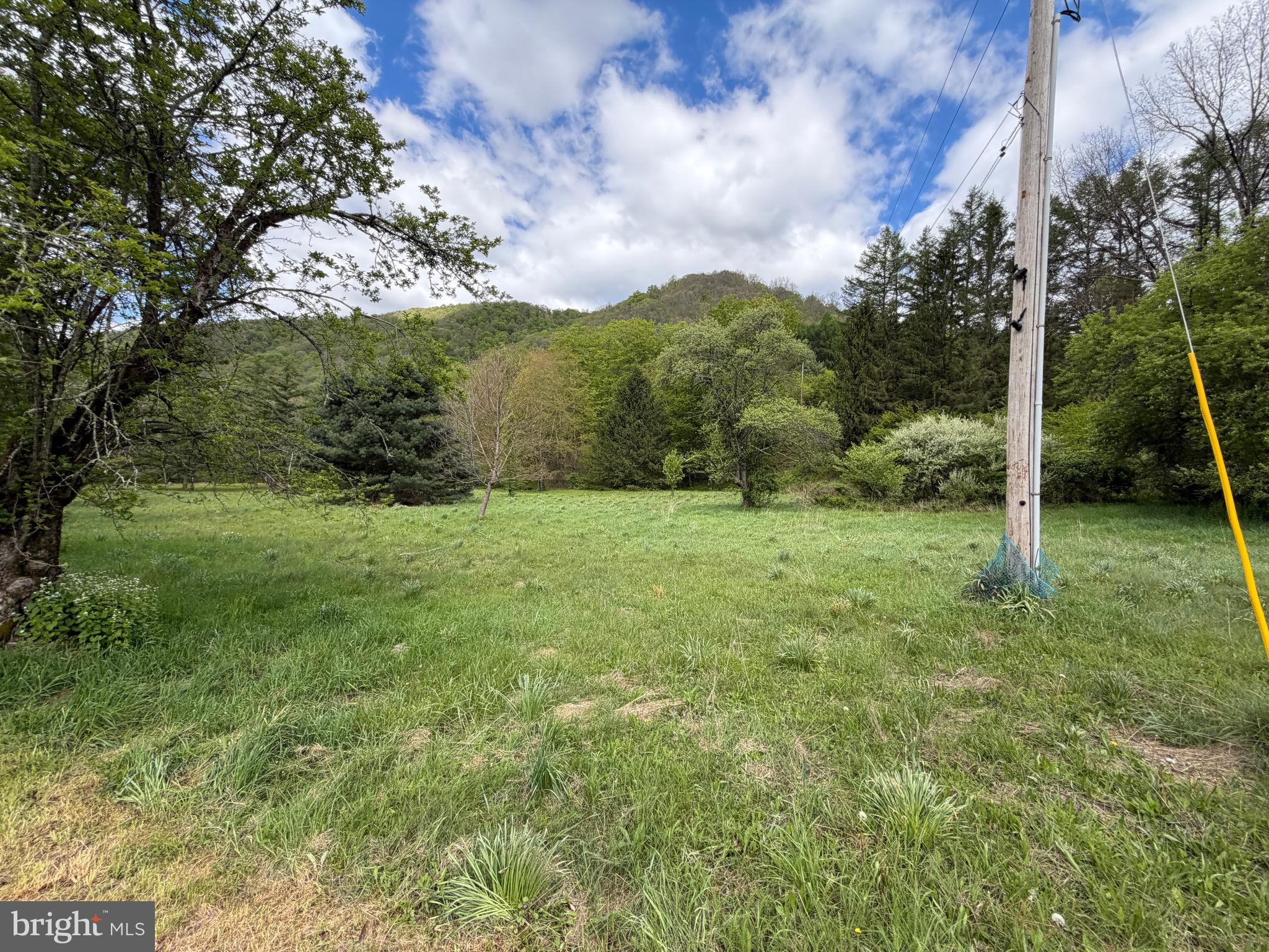 1227 Cross Fork Creek Road Cross Fork, PA 17729 - Photo 98 of 139