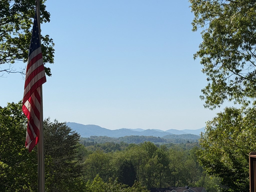 78 Timber Ridge Lane Hayesville, NC 28904 - Photo 2 of 43 a view of a city