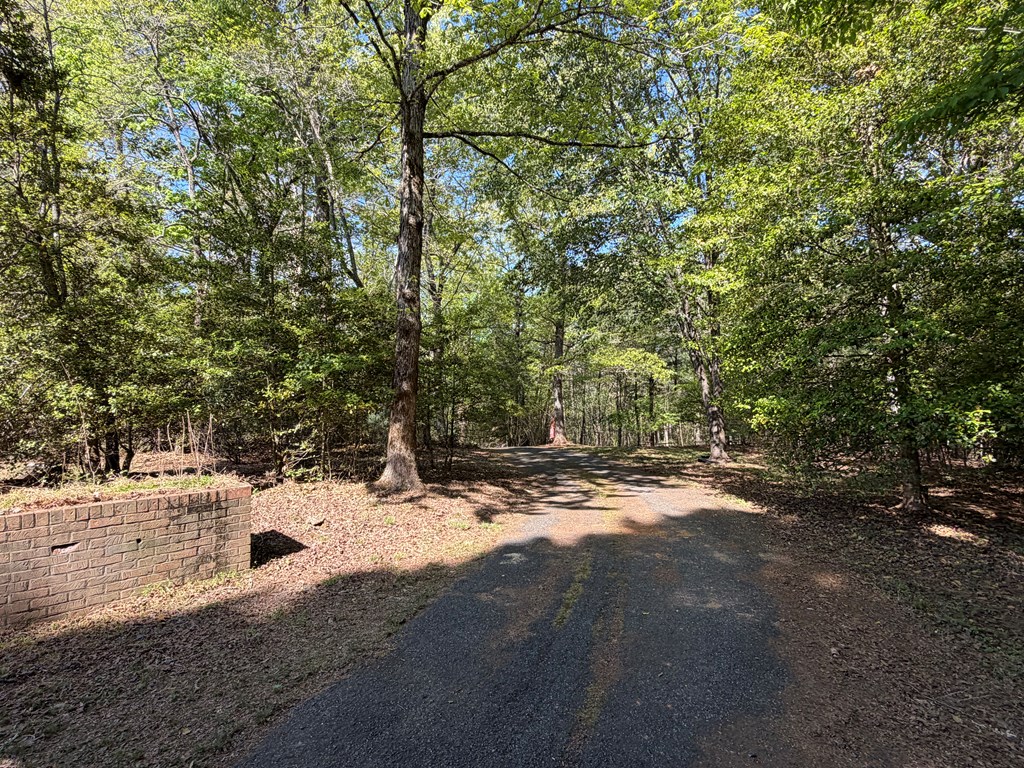 78 Timber Ridge Lane Hayesville, NC 28904 - Photo 39 of 43 a view of a yard with a tree